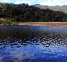 沧源南滚河自然保护区