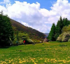 六盘山生态植物园