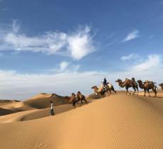 九棵树旅游区