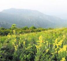 响山自然保护区