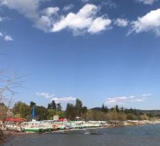 新河口湖滨公园