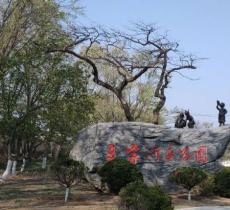 夏家河子海滨公园