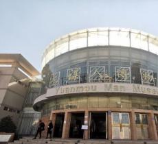 元谋县元谋人博物馆