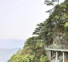 十里杜鹃长廊