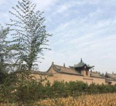 净信寺