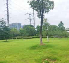 浙窑陶艺公园
