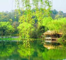 三台云水
