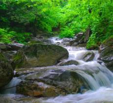 秦岭大坝沟景区