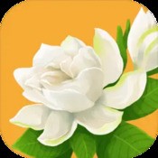 4987铁箅盘资料截图